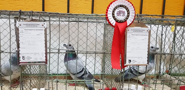 2019HSSBurgkunstadt001